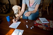 Yahtzee!